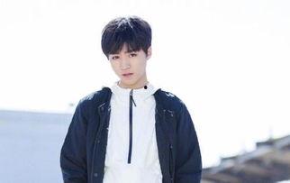 圈内人天涯爆料王俊凯,揭秘明星背后的真实故事  第1张